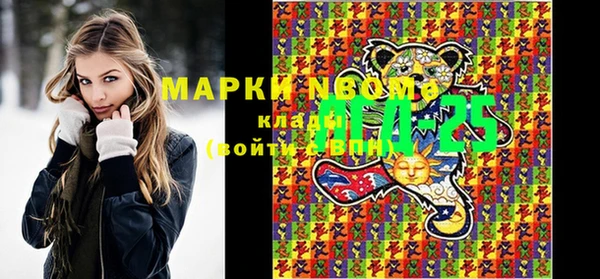 прущие грибы Алексин