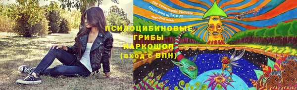 ешки Алексеевка