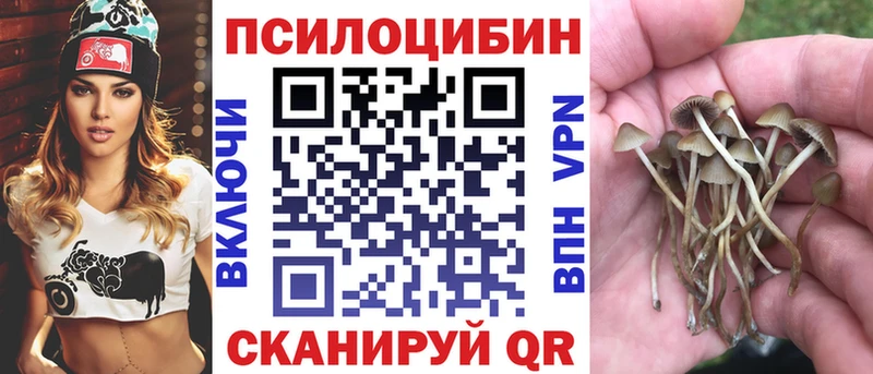 Псилоцибиновые грибы Psilocybine cubensis  Богучар 